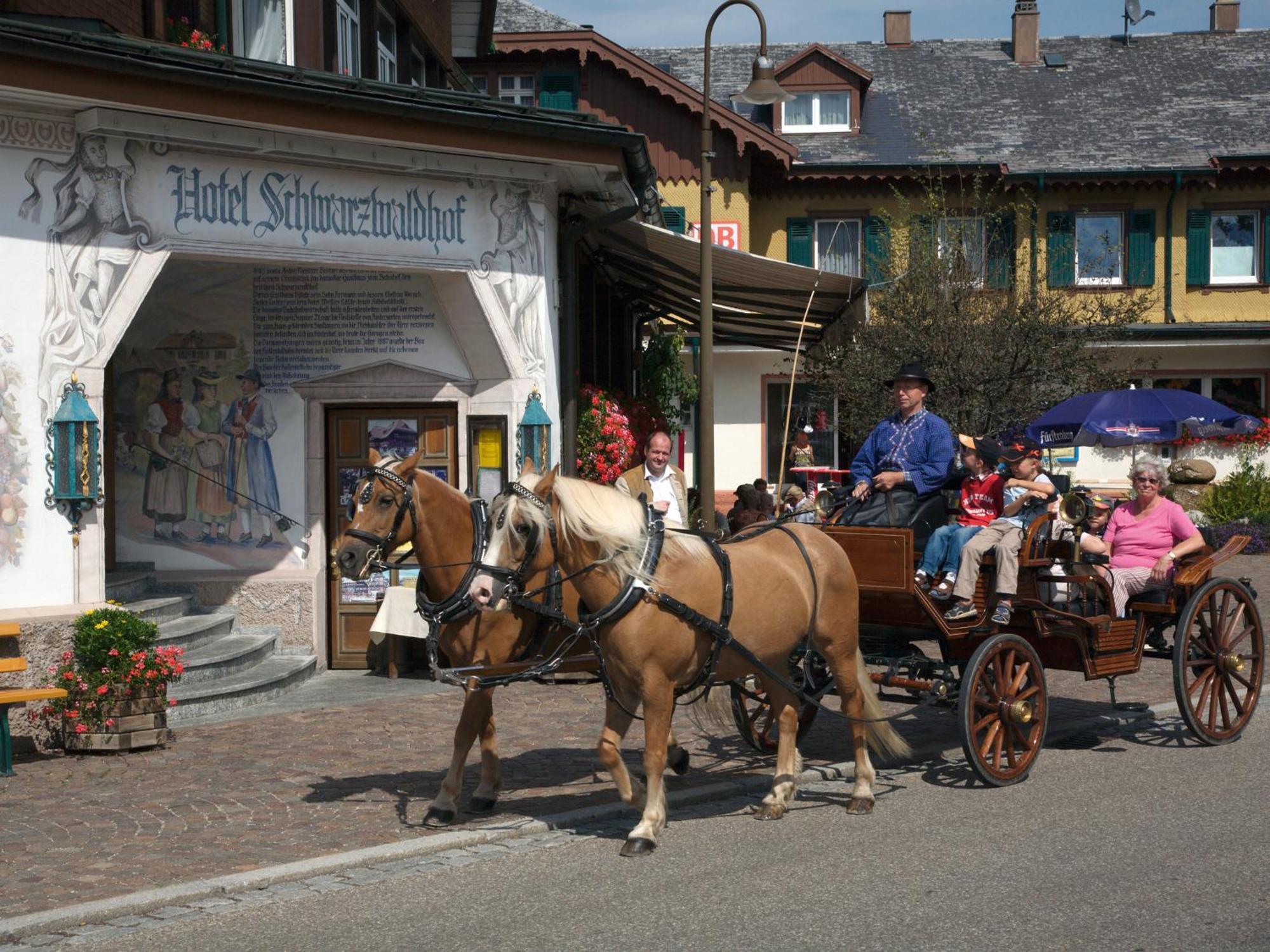 Hotel Schwarzwaldhof 힌터짤텐 외부 사진